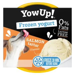 YowUp Helado Salmón Yowup