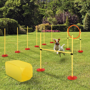 Conjunto 4 Obstáculos de Entrenamiento para Perro Set de Agilidad para Mascotas Estable