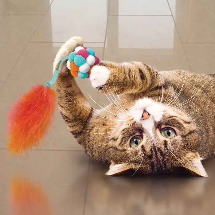 Kong Bubble Ball Cat