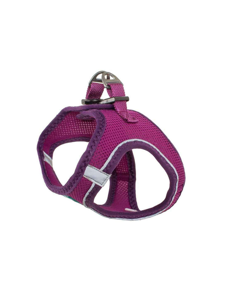 Arnés Soft con Rejilla Violeta
