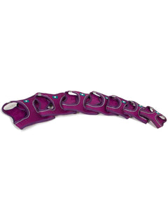 Arnés Soft con Rejilla Violeta