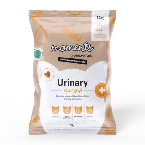Moments Cat Urinary Dingonatura