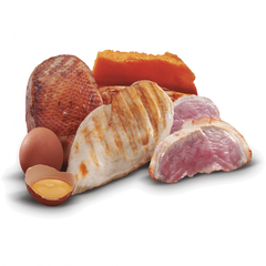 Zen Adult Mini Grain Free Pollo, Pato y Pavo - AnimalXop