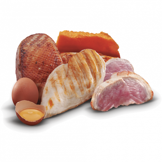 Zen Adult & Senior Grain Free Light Pollo, Pato y Pavo - AnimalXop